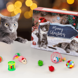 kattelegetoej-julekalender